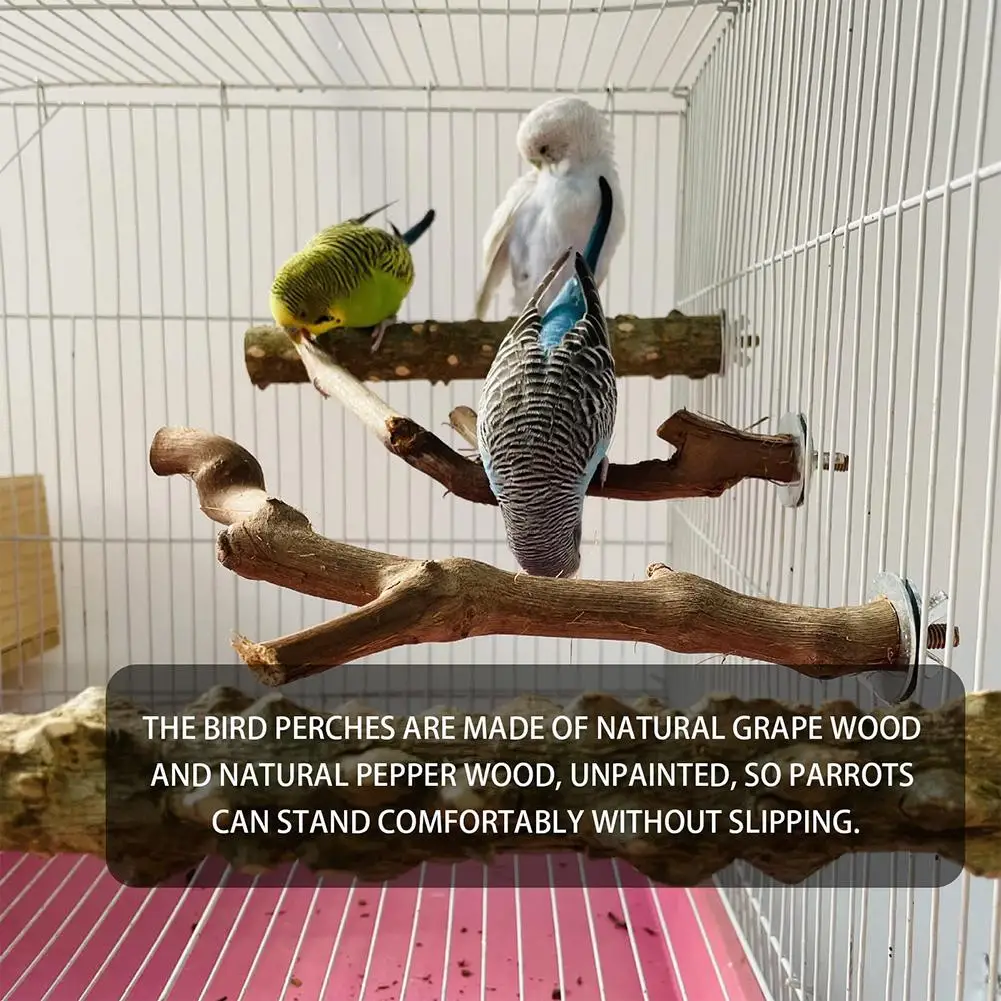 Putnu Asari Stāvēt Dabīgā Koka Stends Filiāle Košļājamā Stick Apmācība Kāpšanas Rotaļlietas Putnu Būru Piederumi