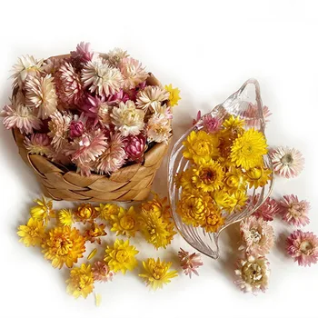 100gab Nekustamā Gerbera Daisy Ziedu Galvas Flores Decorativas Puse, Telpu Dekorēšana Aksesuāri Laivas Fotografia Kaltēti Ziedi