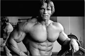 Arnold Schwarzenegger Kultūrisms Motivācijas Mākslas Zīda Plakātu Drukas Fitnesa Iedvesmojošu Attēlu uz Istabas Sienas Dekors