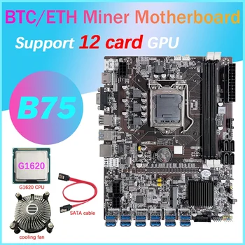 B75 12 Kartes GPU BTC Ieguves Mātesplati+G1620 CPU+Dzesēšanas Ventilators+SATA Kabeli 12XUSB3.0 Ligzda LGA1155 DDR3 operatīvā ATMIŅA MSATA ETH Miner